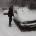 IMG 1597 |