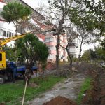 EDREMİT BELEDİYESİ PARKLARI IŞIKLANDIRIYOR 2 EDR 1779 |