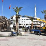 DAHA YEŞİL BİR EDREMİT İÇİN 1 DSC 4995 |