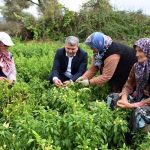 CANBEY’DENTARIMA DESTEK MÜJDESİ 2 1 1 |