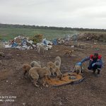 VİRÜS ŞARTLARINDA YAŞAYAN SOKAK HAYVANLARINA BURHANİYE BELEDİYESİNDEN DESTEK 2 IMG 20200328 WA0138 |