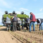 photo 2020 04 29 10 47 37 |