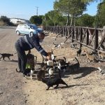 PANDEMIDE DOSTLAR UNUTULMADI 3 |