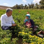 132657156 2201187193344868 7094658786623401977 n |