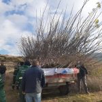 AYVALIK’TA DÖRT KURUM ŞİFA TARLASI İÇİN BİR ARAYA GELDİ 2 AYVALIKTA DOR KURUM SIFA TARLASI ICIN BIR ARAYA GELDI 1 |