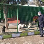 BAŞKAN DEVECİLER HAYVAN BAKIMEVİNİ İNCELEDİ 3 WhatsApp Image 2020 12 11 at 11.31.15 1 |