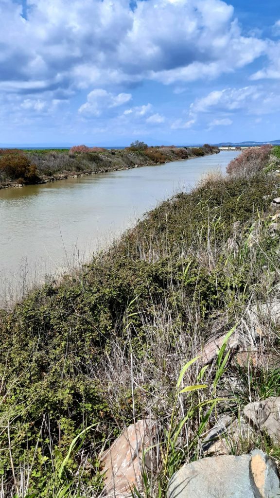AYVALIK BELEDIYE BASKANI MESUT ERGIN KARAKOC DERESININ SULAK ALAN STATUSUNDEN CIKARILMASI KABUL EDILEMEZ 6 |