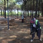AYVALIK BELEDİYESİ'NDEN ÖNLEM 2 AYVALIK BELEDIYESINDEN ONLEM 1 |