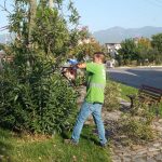 SONBAHAR BAKIMI BAŞLADI 2 4 2 |