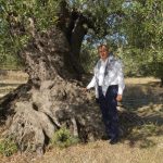 MESUT ERGIN DUNYA ZEYTIN AGACI GUNU KUTLU OLSUN 2 |