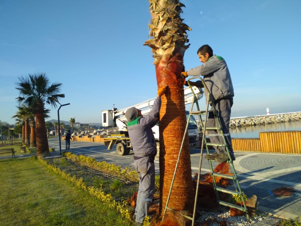 BURHANIYE PARK VE BAHCELERI YENILENIYOR 5 |