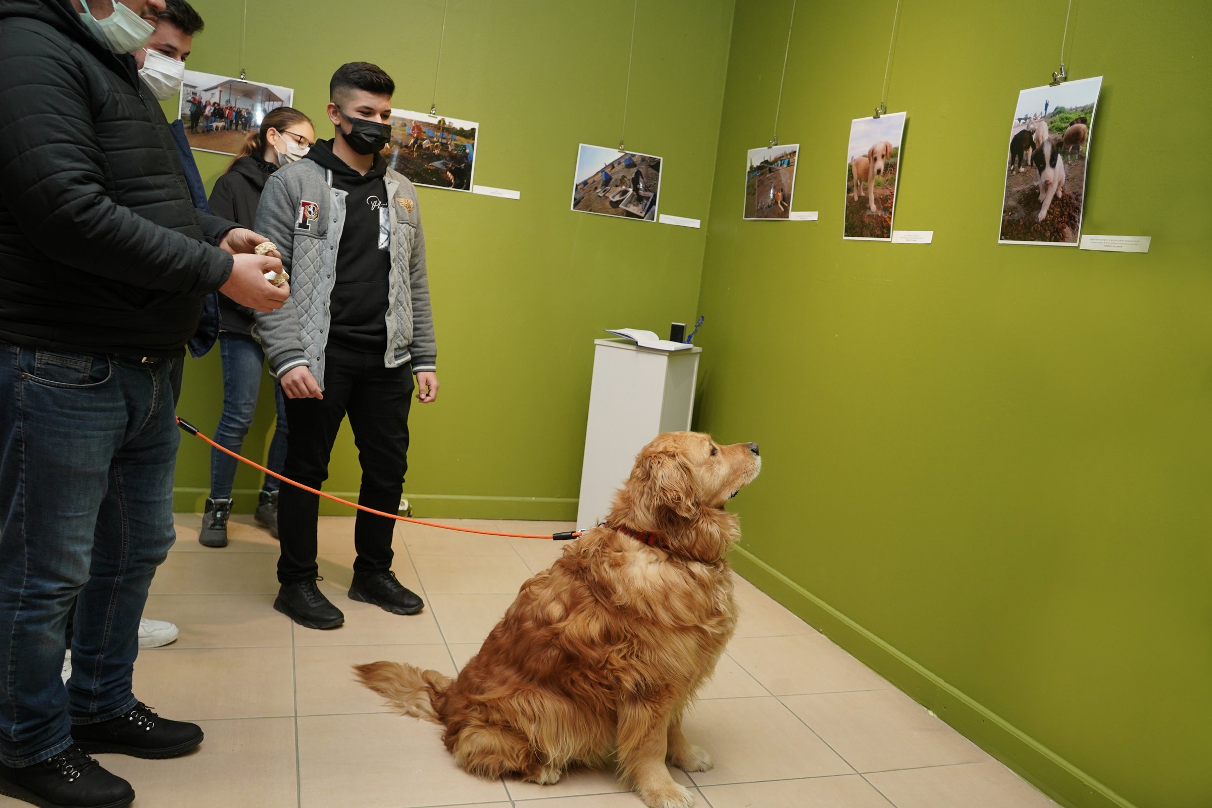 COPLUGUN ALTIN COCUKLARI SERGISI 1 |