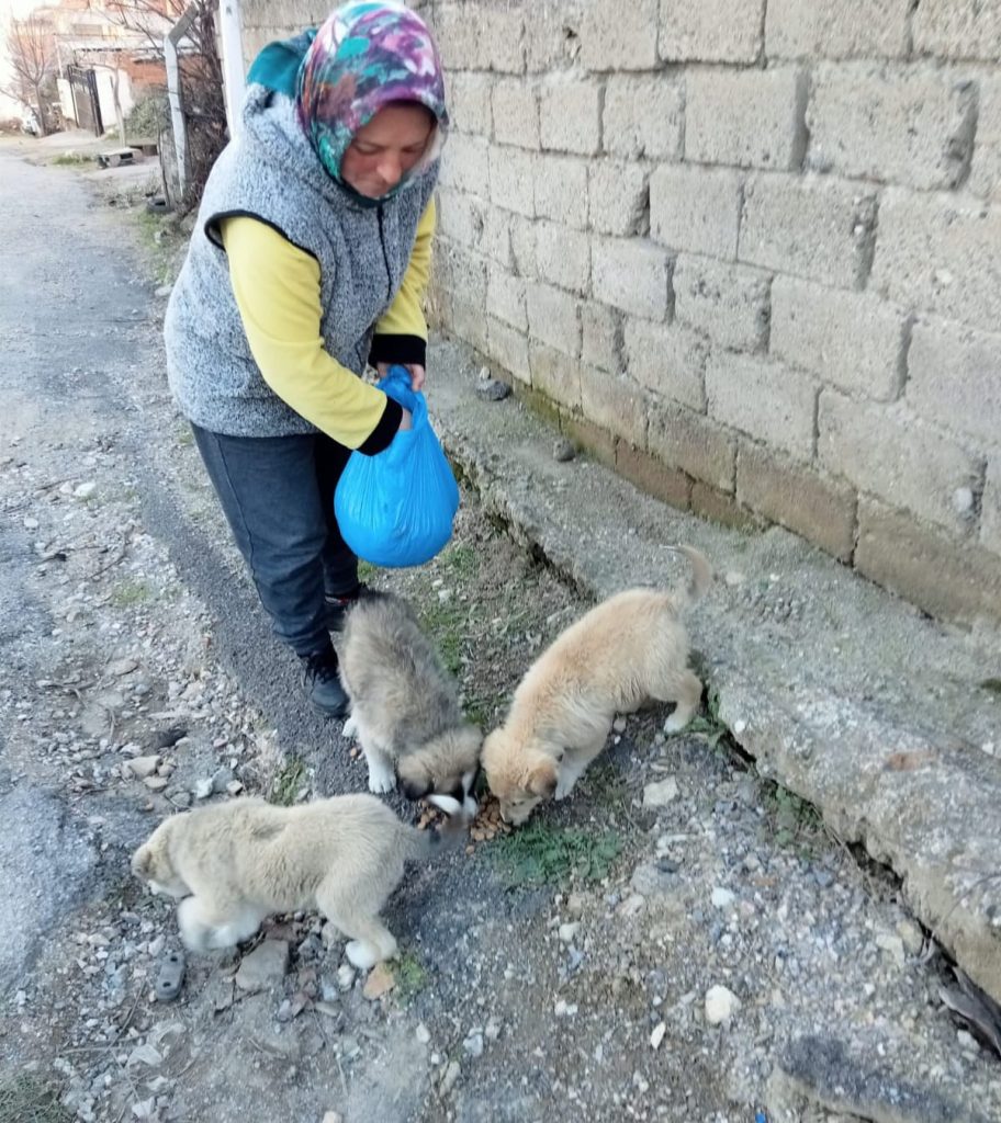 WhatsApp Image 2022 01 22 at 14.44.25 |