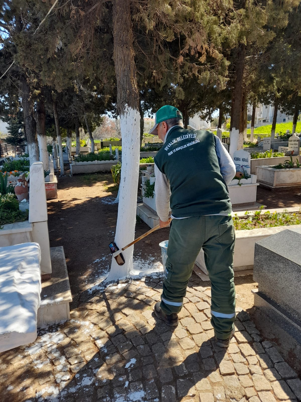 AYVALIKTA MEZARLIKLARDA BAYRAM TEMIZLIGI 2 |