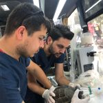hayat kurtardi 6 |
