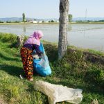 tarlalardaki atiklar kuzuya donusuyor 1 |