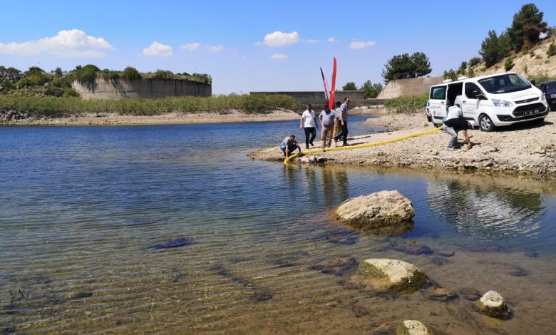 Çanakkale’de baraj ve göletlere 1 buçuk milyon sazan balığı yavrusu bırakıldı 1 AW696901 03 |