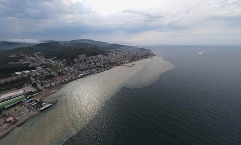 Mudanya Sahili çamura boyandı 1 AW702219 01 |