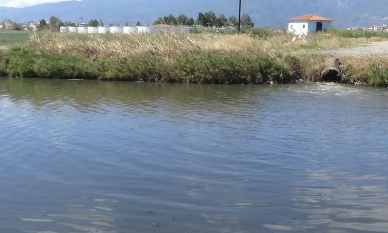 Edremit Çayı'ndan kötü kokular geliyor 1 AW709297 01 |