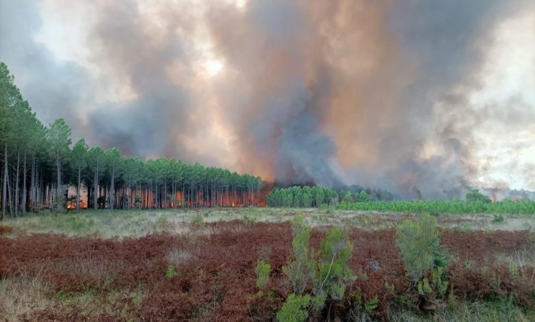 Fransa'da orman yangını evlere sıçradı 1 AW711513 01 |