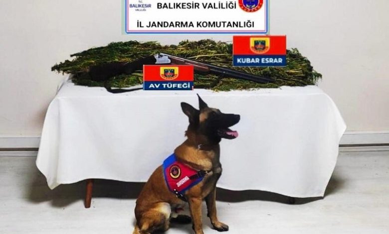 Balıkesir'de asayiş ve uyuşturucu operasyonunda 6 tutuklama 1 AW713836 01 |
