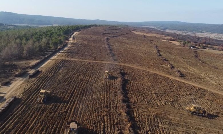 Çanakkale’de küle dönen 580 hektar alanda, 1 milyon fidan toprakla buluşturuluyor 1 AW719393 01 |