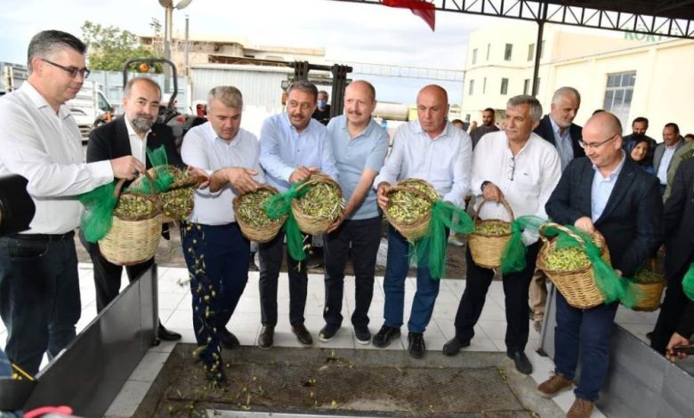 Yılın ilk erken hasat zeytinyağı üretildi 1 AW722836 01 |