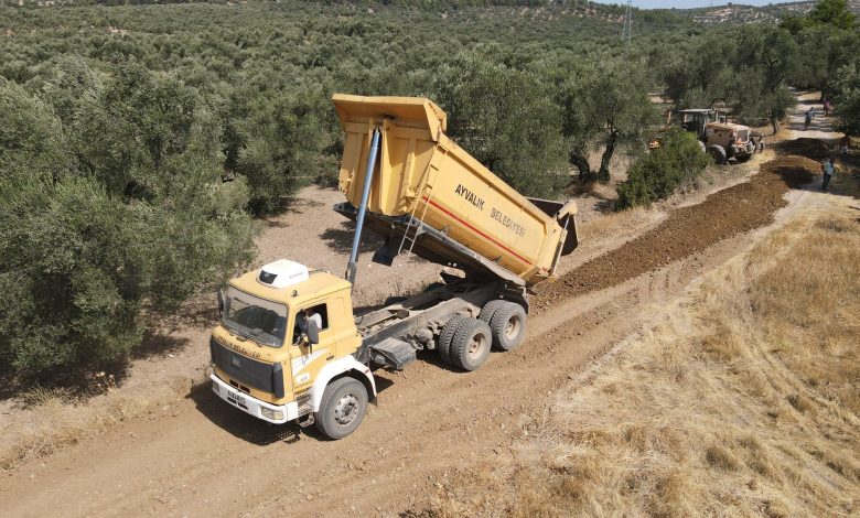ZEYTINLIKLER ARASI YOLLAR HASATA HAZIR 1 |