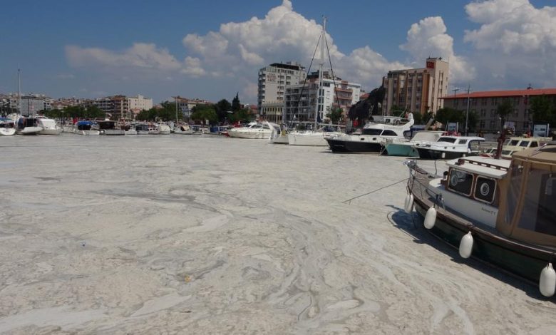 Hava sıcaklıkların bu şekilde gitmesiyle birlikte tekrar müsilaj görülebilir 1 AW752373 06 |