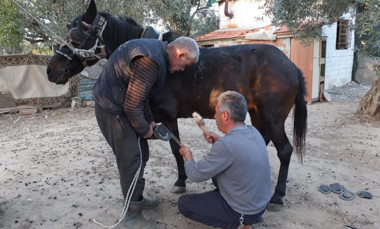 Çırak yok bu meslek bitiyor 1 AW754448 01 |