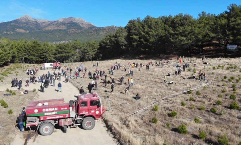Kazdağları’nda Mili Ağaçlandırma Günü’nde fidanlar toprak ile buluştu 1 AW757136 01 |