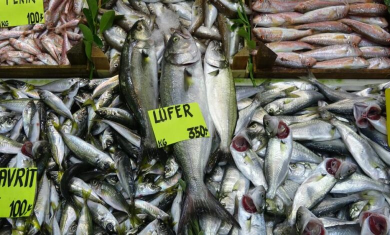 Lüfer ve palamut cep yakıyor 1 AW768185 04 |