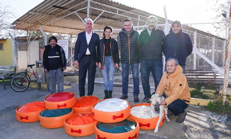 Eski lastikler barınaktaki can dostlarımız için yatak oldu 1 ESKI LASTIKLER BARINAKTAKI CAN DOSTLARIMIZ ICIN YATAK OLDU 4 |