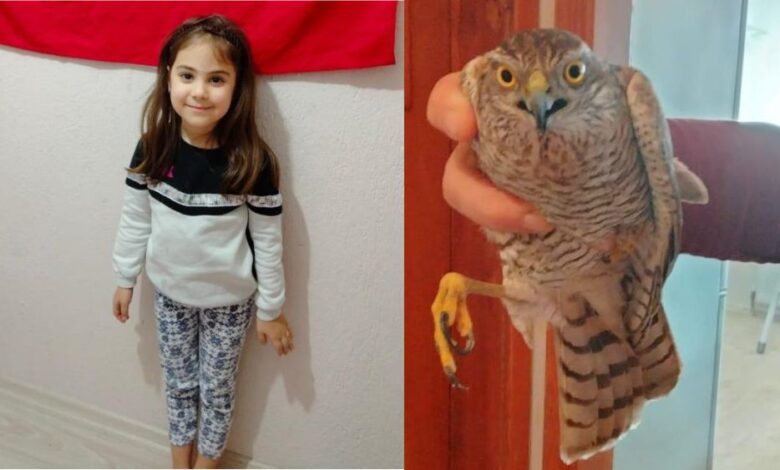 atmaca |