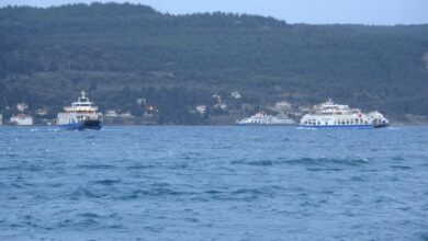 AW806159 04 |