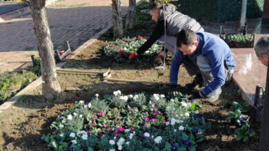 park ve bahceler 3 |