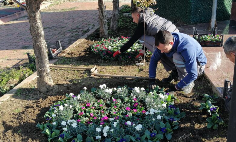 park ve bahceler 3 |