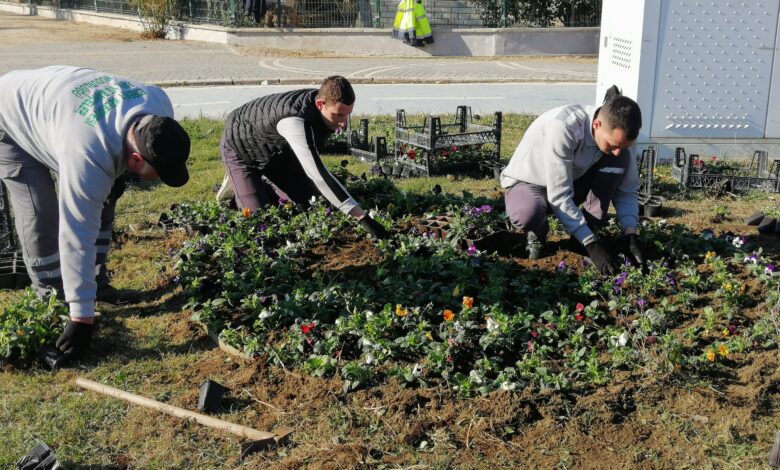 park ve bahceler 4 |
