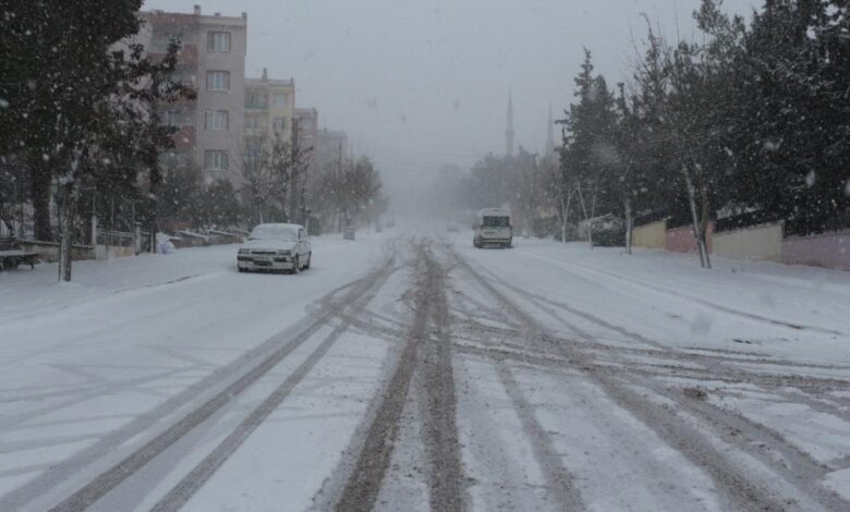 AW821337 03 |
