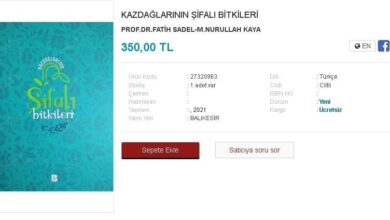 AW845317 03 |