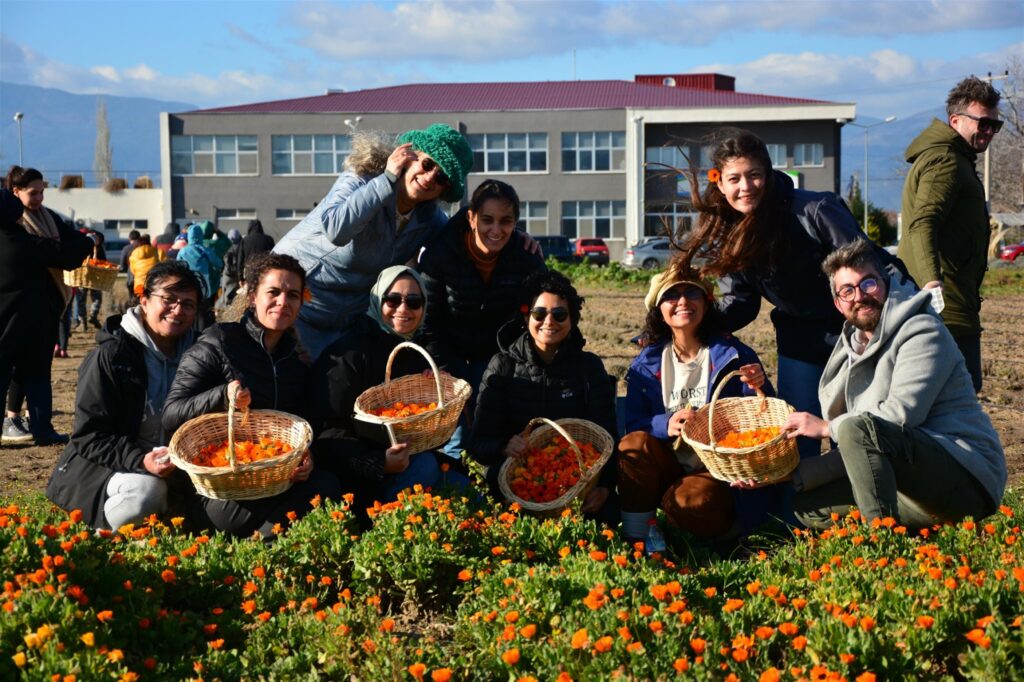 aromatik bitki yetistiriciligini bacemde ogreniyorlar 1 |