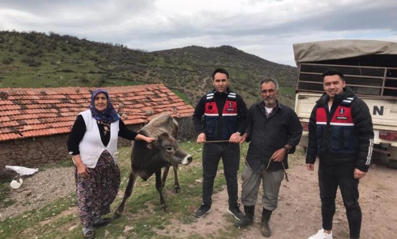 Kurbanlık hayvanı çalanları JASAT yakaladı 1 AW876803 01 |