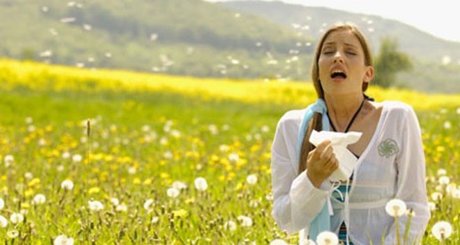 Polen alerjisi olanlar dikkat 1 AW884425 02 |