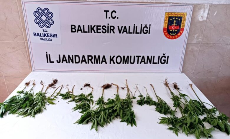 Balıkesir'de uyuşturucu operasyonunda iki kişi yakalandı 1 AW915181 01 |