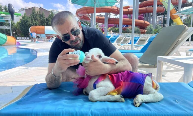 Kurban Bayramı öncesi kuzusuyla tatil yaptı 1 AW923851 01 |