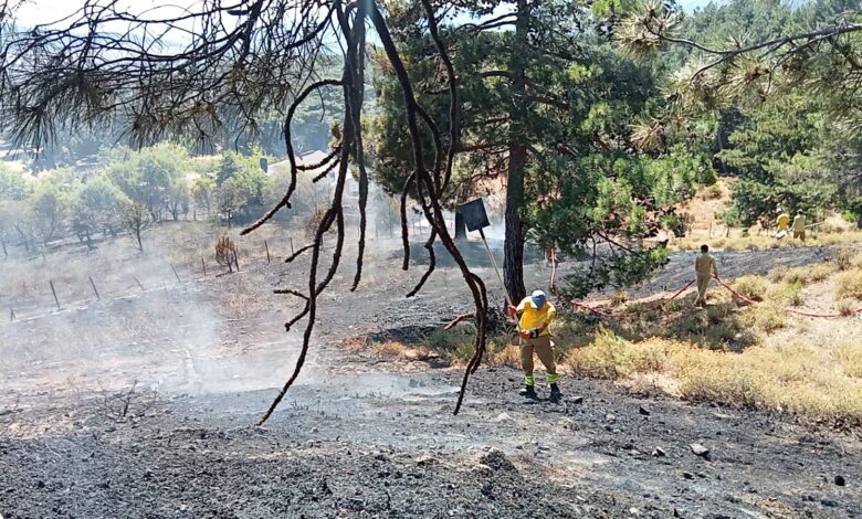 21eb2b0c fc38 417d 955d 73f81e937aa3 |