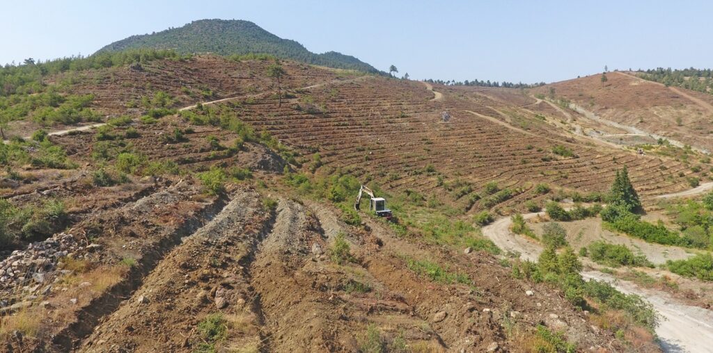 1d8640cd 4820 4d79 8533 d97e1578da32 |