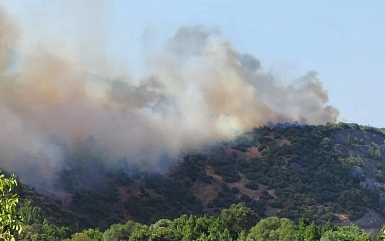 Balıkesir Valisi Ustaoğlu: "Orman yangını kontrol altına alındı" 1 76f9czeb |