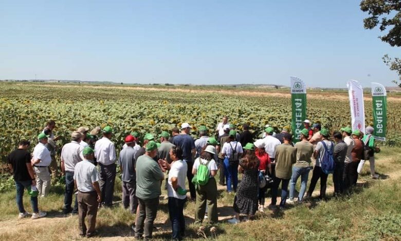 Çanakkale’de Ayçiçeği Tarla Günü düzenlendi 1 AW001808 04 |
