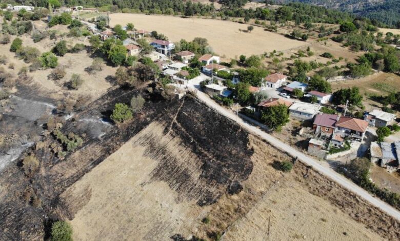 Çanakkale'nin ciğerlerini yakan yangın burada başlamış 1 AW016001 01 |